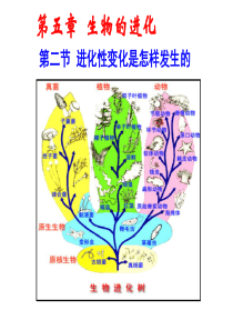 5.2-进化性变化是怎样发生的