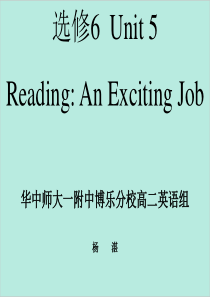 高二英语选修6 unit5 Reading 杨湛