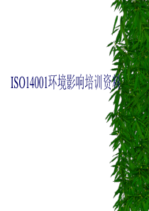 ISO14001国际标准