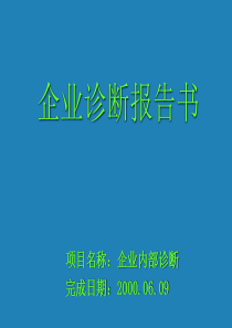 企业诊断报告书