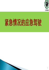 车辆紧急情况的应急驾驶