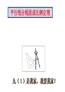 沪科版九年级数学上22.1比例线段4