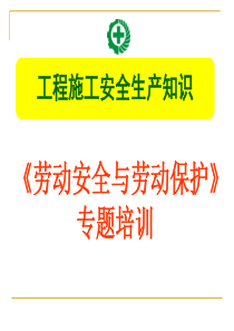 《劳动安全及劳动保护》专题安全教育培训