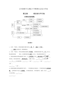 七年级数学人教版下册期末总复习学案