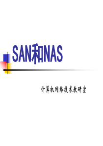 SAN和NAS