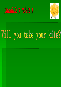 Will-you-take-your-kite(1)