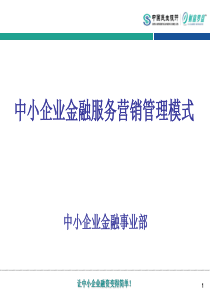 中小企业金融服务营销管理模式20100114