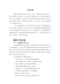 销售经理工作计划