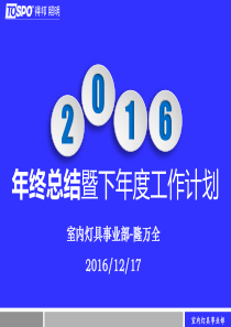 2016年度工作总结报告-隆万全