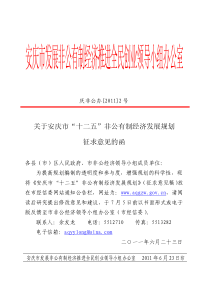 《安庆市非公有制经济十二五规划》