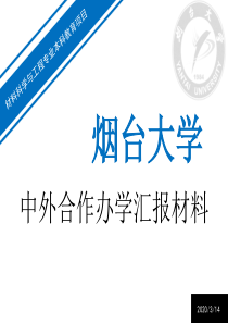 中外合作办学项目汇报材料