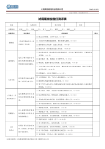 试用期岗位胜任测评表