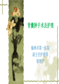 75肾囊肿手术及护理.ppt1