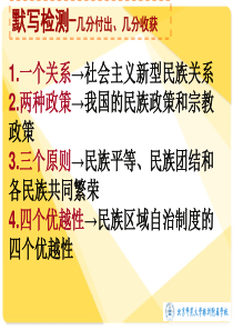 政治生活一轮复习2.4.8(走进国际社会)公开课