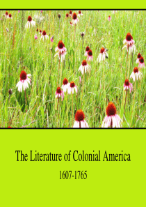 The-Literature-of-Colonial-America