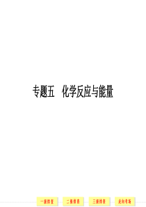 2014届高考化学二轮复习简易通(新课标)三级排查大提分配套课件：专题5 化学反应与能量