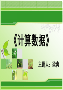 第四届全国中小学“教学中的互联网应用”优秀教学案例评选 《EXCEL计算数据》梁爽