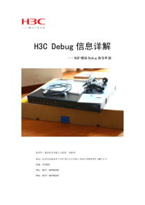 H3C-BGP模块Debug命令手册-vrp3.4