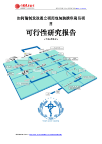 如何编制发改委立项用包装装潢印刷品项目可行性研究报告(立项+贷款版)