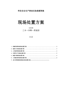 72突发安全生产事故应急救援预案(现场处理方案)