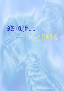 ISO9000培训之路3——1+3+1管理体系