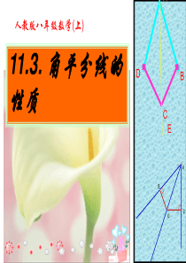 人教版数学八上11.3《角的平分线的性质》ppt课件(1)