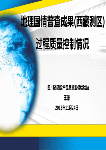 王珊-质检站地理国情普查西藏测区过程质量控制问题XXXX