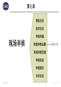 ISO9000现场审核