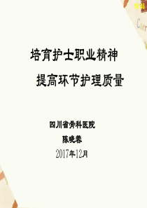 培育护士职业精神提高环节护理质量（PDF48页）