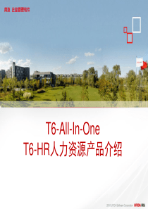 T6-ALL-In-One产品(T6-HR人力资源)