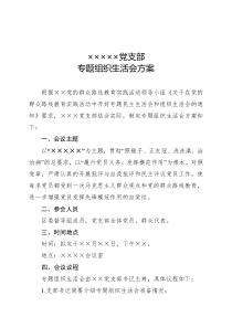 党支部专题组织生活会方案WORD