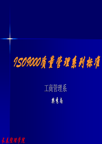 ISO9000质量管理系列标准