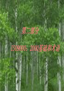 ISO9000质量体系认证第二部分基础和术语