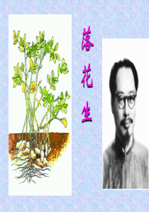 落花生_教学课件_PPT