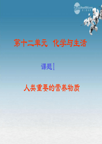 九年级化学下册《12.1 人类重要的营养物质》课件1 人教新课标版