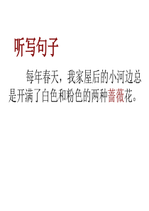 《妈妈,我不是最弱小的》PPT课件(沪教版三年级语文下册课件)