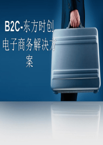 B2C-电子商务解决方案