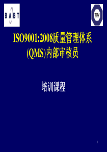 ISO9001审核过程