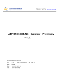 AT91SAM7X256_128+summary+中文