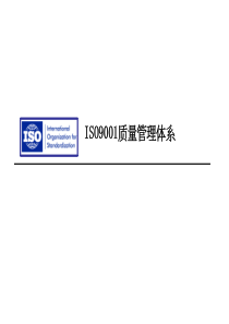 ISO9001质量管理体系(1)