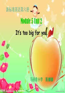 五年级英语下册 Module5 Unit2课件Its too big for you  外研版 (3