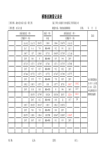 横断面测量记录表 修改后