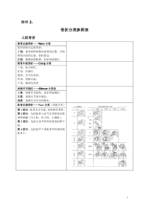 骨折分型参照表