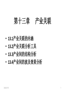 产业经济学课件第13章