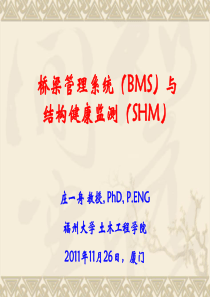 桥梁管理系统(BMS)与结构健康监测(SHM)3