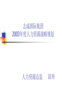 志成国际集团-2003年度人力资源战略规划