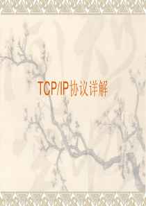 TCP-IP协议详解