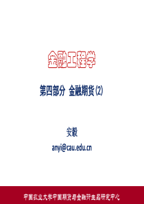 第四部分金融期货的技术、定价与运用(2)