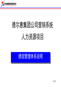 德尔惠集团公司营销系统人力资源项目绩效管理体系说明