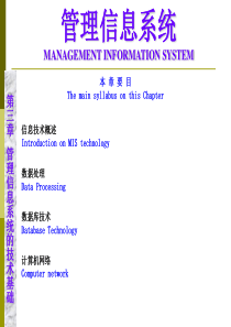 3 管理信息系统的技术基础